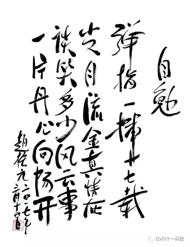 1496496021483020.jpg 23.jpg