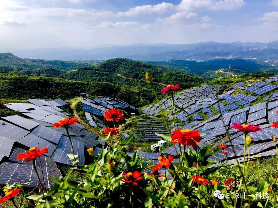 1558573964966284.jpg 13.jpg